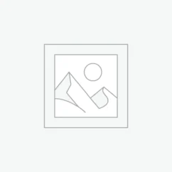 Valianto Air Orbital Palm Sander with Speed Regulation